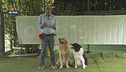 L'educa-cani