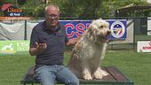 L'Educa-cani