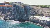 Favignana