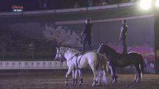 La mostra del cavallo
