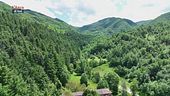 Il Bosco della Moscheta
