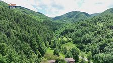 Il Bosco della Moscheta