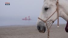 Tra sabbia e mare