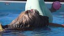L' educa-cani: lo swim dog sport