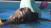 L' educa-cani: lo swim dog sport