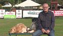L'Educa-cani: i cani non fanno i dispetti