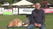 L'Educa-cani: i cani non fanno i dispetti