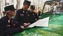 Ecosistemi forestali gestiti dal Cufa