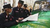 Ecosistemi forestali gestiti dal Cufa