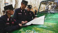 Ecosistemi forestali gestiti dal Cufa