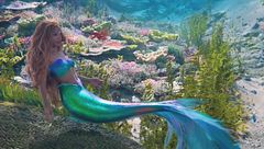 Puntata del 4 giugno