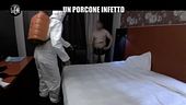 CORTI: Un porcone infetto