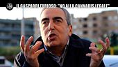 GASTON ZAMA: Il Gasparri furioso: "No alla cannabis legale"
