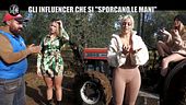 DE DEVITIIS: Influencer alla prova della raccolta delle olive
