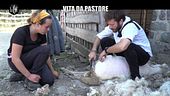 DE DEVITIIS: Pastori assieme a Bea