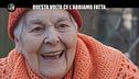 NINA: La signora dei galletti vuole lasciare l'rsa