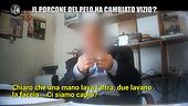 DE GIUSEPPE: Il fanatico del pelo ha cambiato vizio? Storia di Vilma