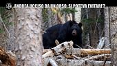 GOLIA: Andrea ucciso da un orso: si poteva evitare?