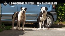 ROMA: Un condominio tra pitbull dei rom e cumuli di rifiuti