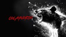 Cocainorso