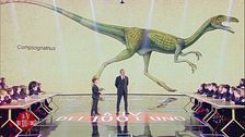 Andrea Porzio, l'esperto di dinosauri