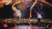 Il dinosauro Ignazio e i consigli di Piero Chiambretti
