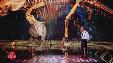 Il dinosauro Ignazio e i consigli di Piero Chiambretti