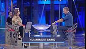 Gli animali si amano