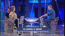 Gli animali si amano