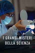 La genesi dell'universo