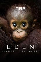 Borneo: un paradiso incontaminato