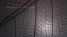 Ep. 1 - Il mondo al microscopio