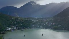 Ep. 6 - Un anno di vita selvaggia