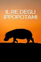 Il re degli ippopotami