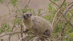 Ep. 1 - Chi trova un amico...