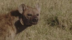 Ep. 2 - Segreti di famiglia