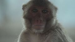 Ep. 4 - L'unione fa la forza