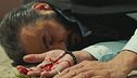 Episodio 454