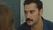 Episodio 310