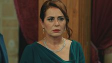 Episodio 316