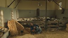 Anticipazione episodio 413