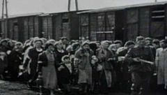 Racconti di libertà 2023 | Shoah