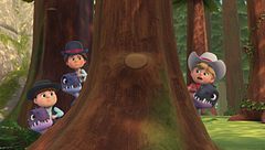 Una squadra particolare