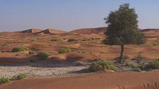Ep. 1 - Oman, la meraviglia dell'oriente