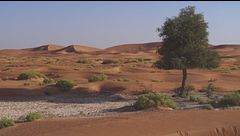 Ep. 1 - Oman, la meraviglia dell'oriente