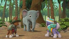 I cuccioli salvano un piccolo t-rex / I cuccioli salvano un simpatico elefantino