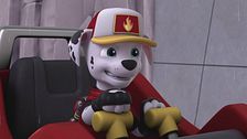 Big Truck Pups: i cuccioli fermano l'acqua