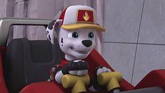 Big Truck Pups: i cuccioli fermano l'acqua