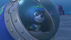 Aqua pups: i cuccioli salvano la corsa dell'amicizia