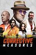Trailer - Corrective measures